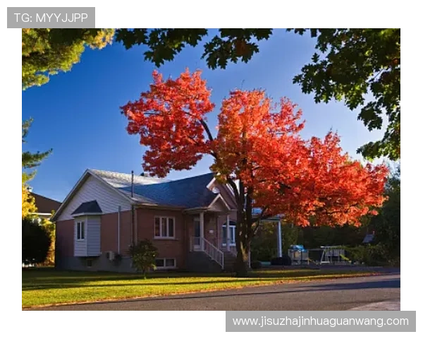 加拿大PGU娱乐官方网站公布最新留学政策，帮助学生了解加拿大研究生申请最新动态